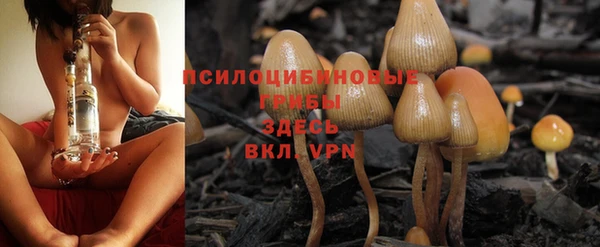 ALPHA PVP Аркадак