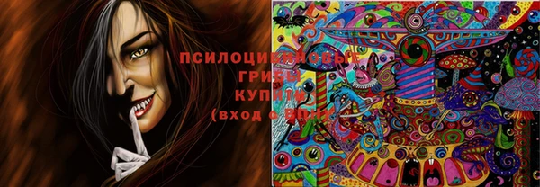 mix Арсеньев