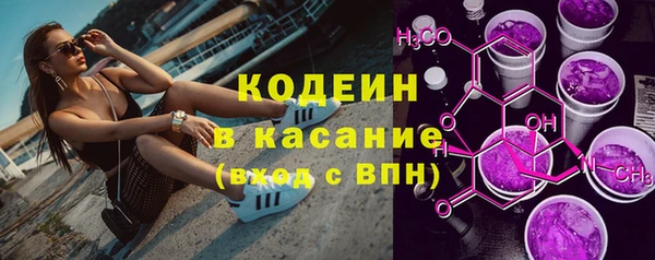 крисы Осинники