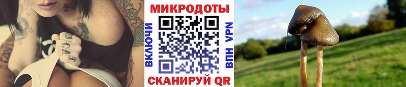Псилоцибиновые грибы мухоморы  даркнет сайт  Саров 
